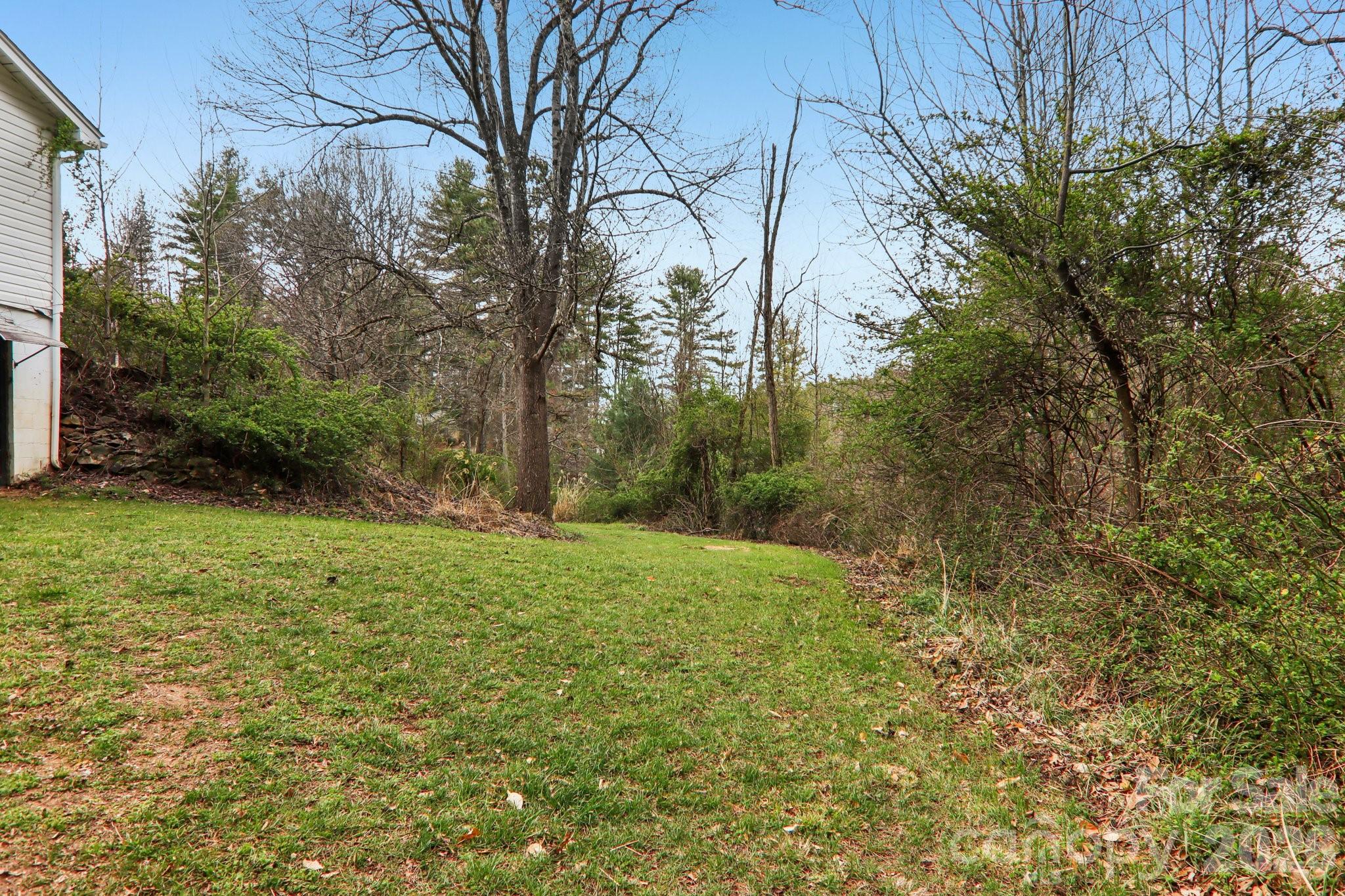 105 Baird Road Mars Hill, NC 28754 - Photo 41 of 48 a view of a big yard with plants and large trees
