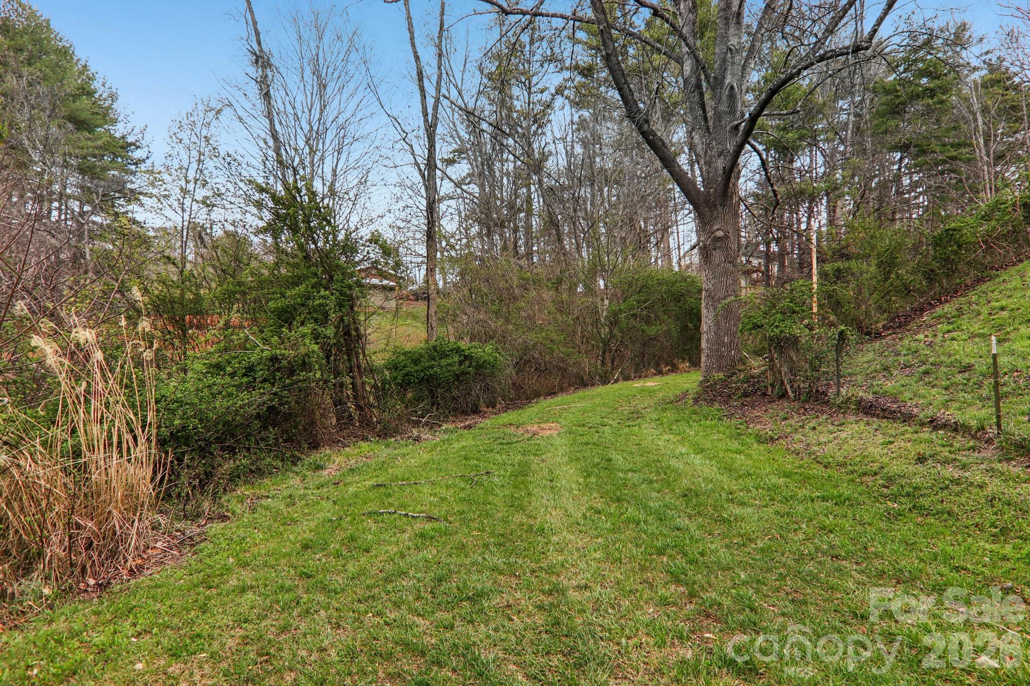 105 Baird Road Mars Hill, NC 28754 - Photo 42 of 48 a view of a yard with large trees