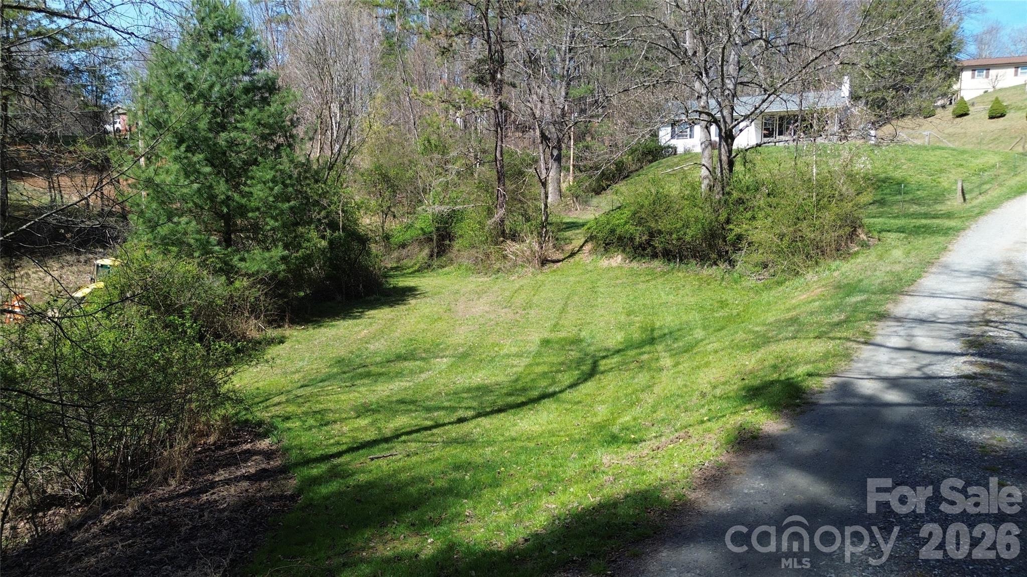 105 Baird Road Mars Hill, NC 28754 - Photo 47 of 48 a lush green forest with lots of trees