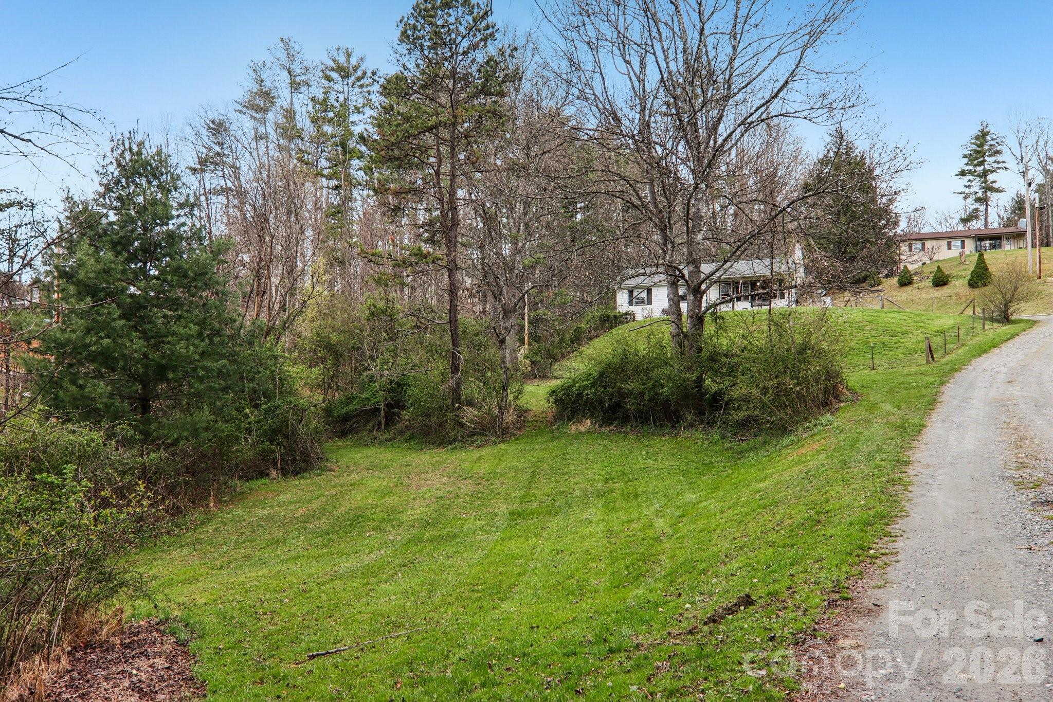 105 Baird Road Mars Hill, NC 28754 - Photo 8 of 48 a view of a garden