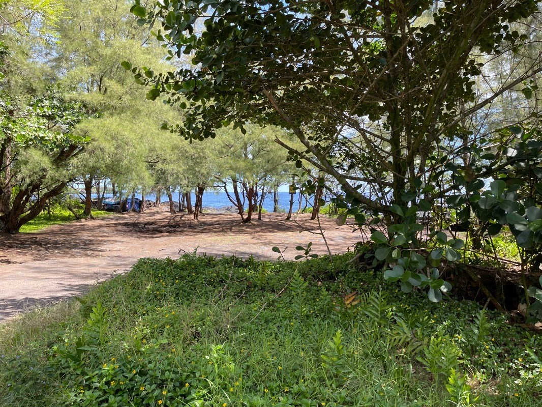 3079 Beach Road Keaau, HI 96749 - Photo 12 of 15 Gallery Image 12