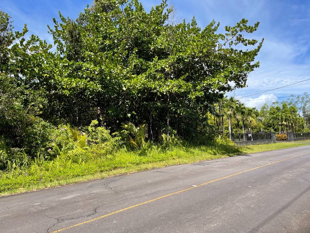 3079 Beach Road Keaau, HI 96749 - Photo 6 of 15 Gallery Image 6