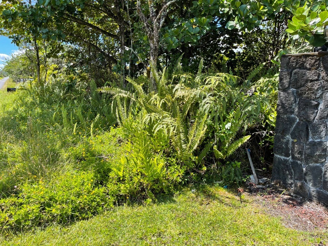 3079 Beach Road Keaau, HI 96749 - Photo 7 of 15 Gallery Image 7