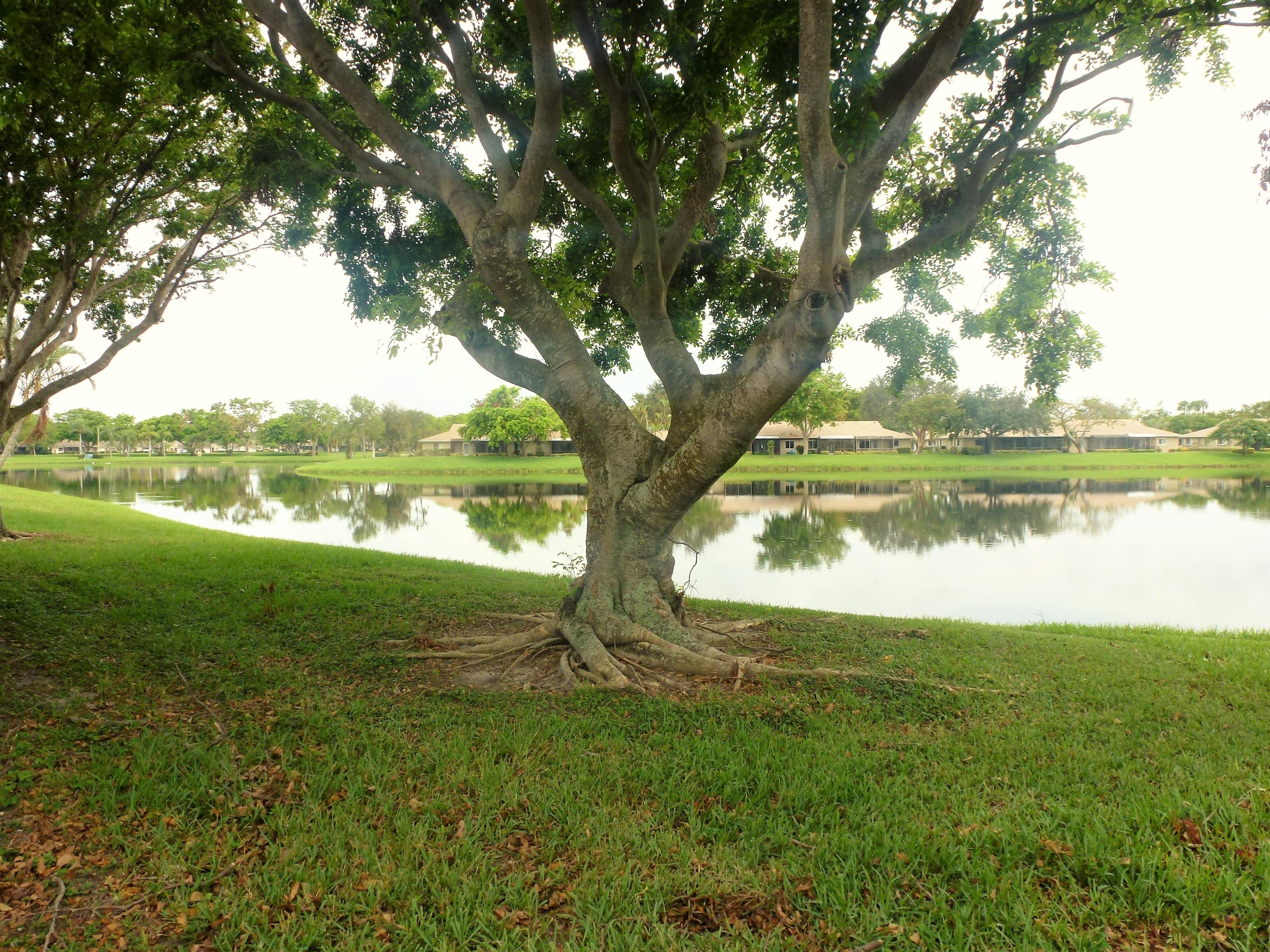 18952 Argosy Drive Boca Raton, FL 33496 - Photo 18 of 27 View Long Lake