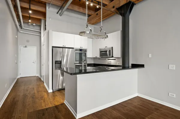 $3,300 | 701 West Jackson Boulevard, Unit 102, Chicago, IL 60661