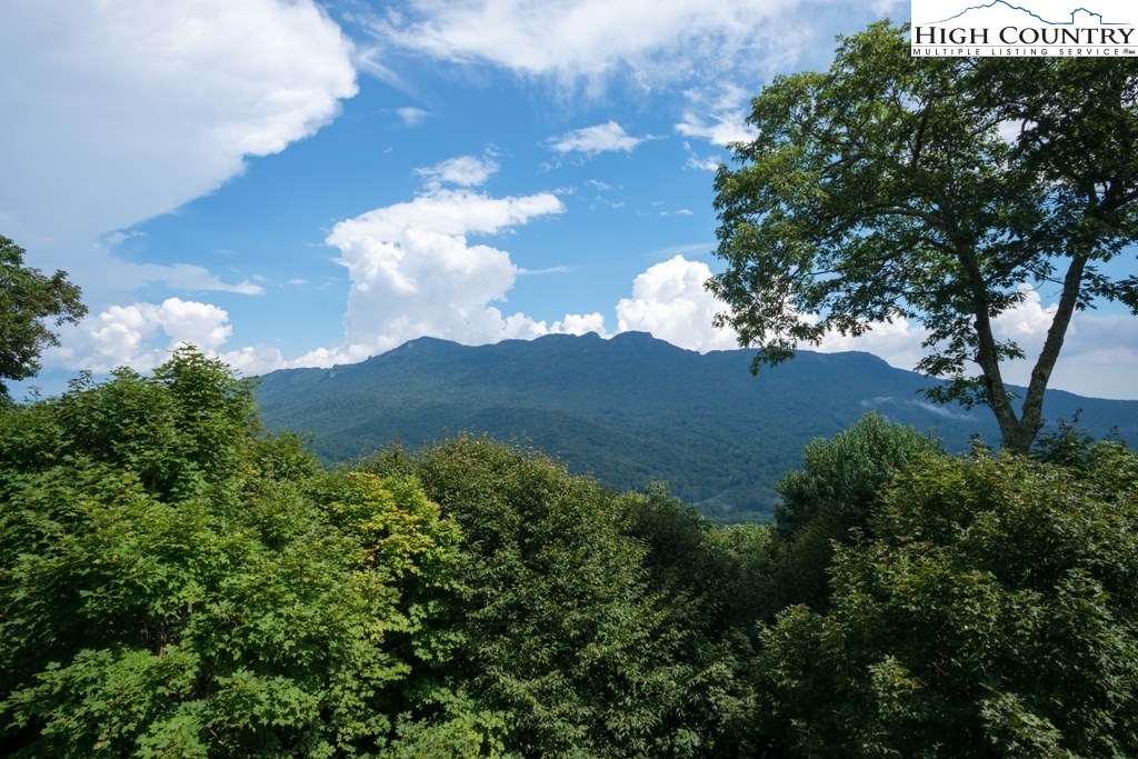 219 Ridge Drive Linville, NC 28646 - Photo 10 of 46 Gallery Image 10