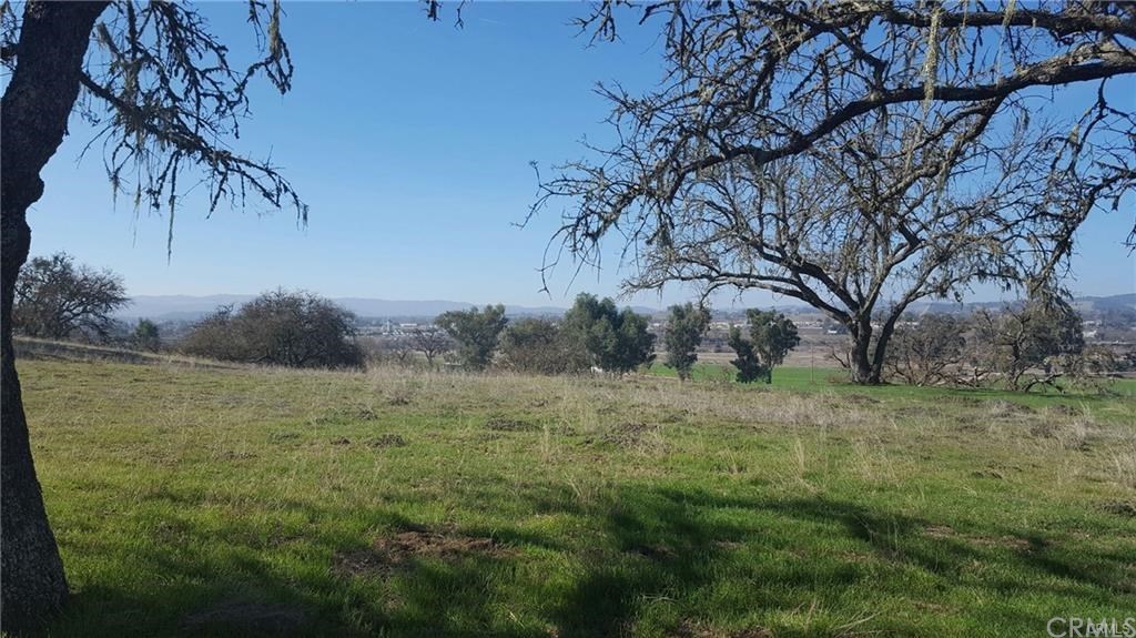 Beautiful and very large nearly level building site. Private and secluded from other homes. View to the South West.