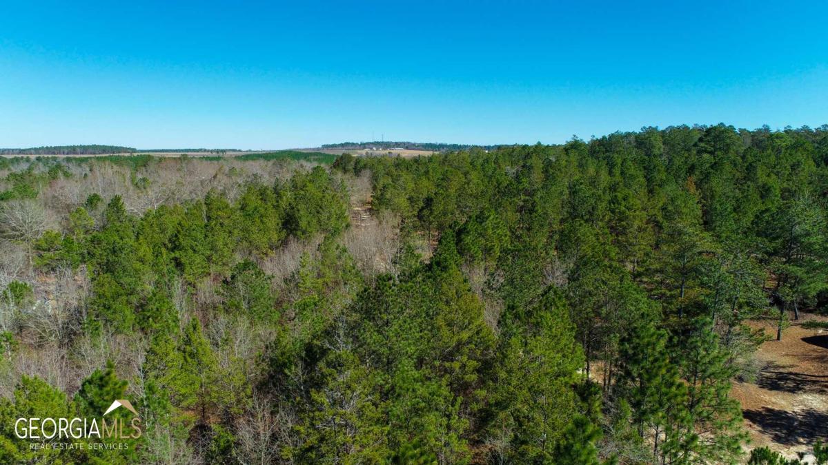 1926 Hortman Mill Road Roberta, GA 31078 - Photo 1 of 1