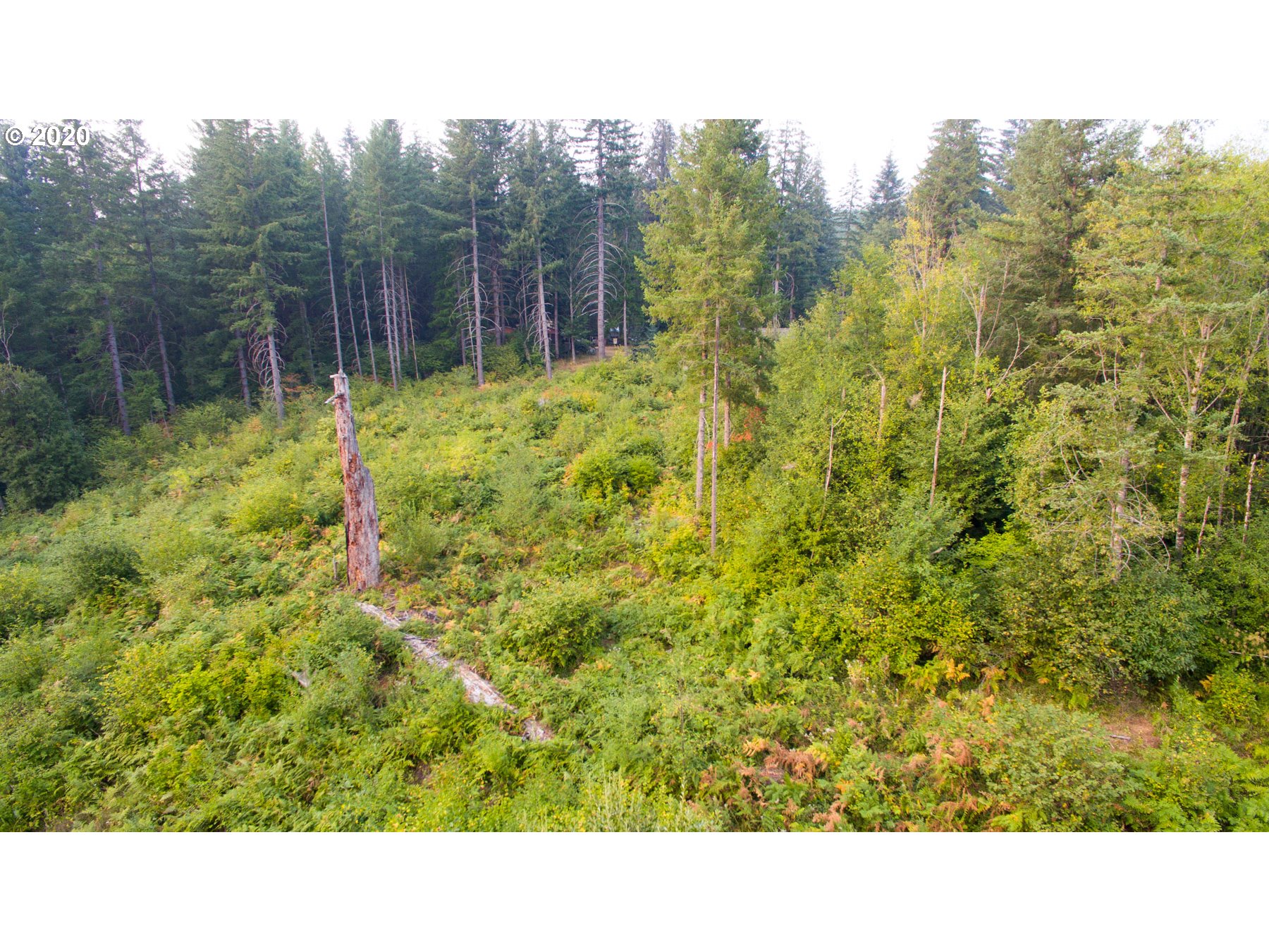 0 Northeast Falls Road Yacolt, WA 98675 - Photo 1 of 12