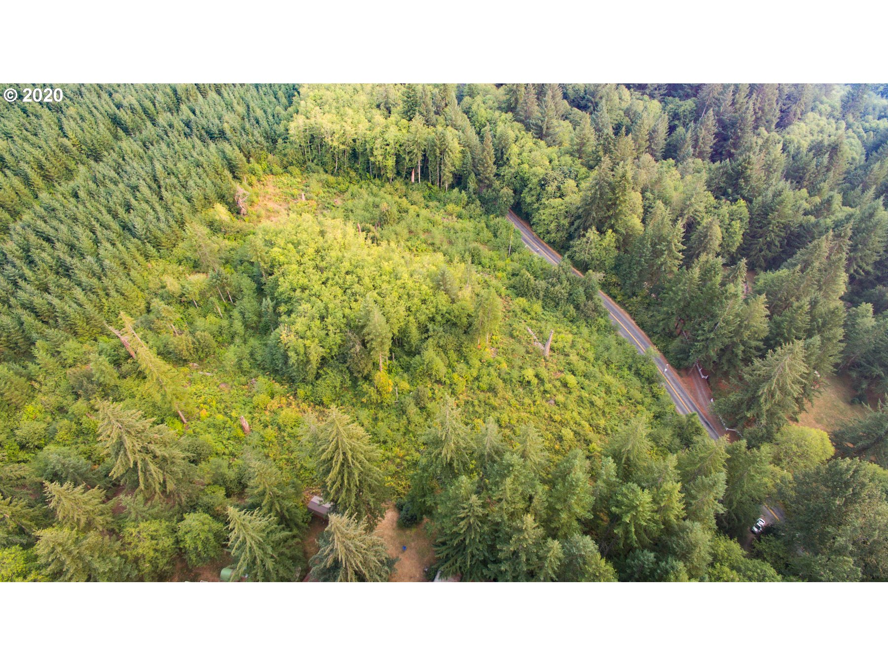 0 Northeast Falls Road Yacolt, WA 98675 - Photo 3 of 12