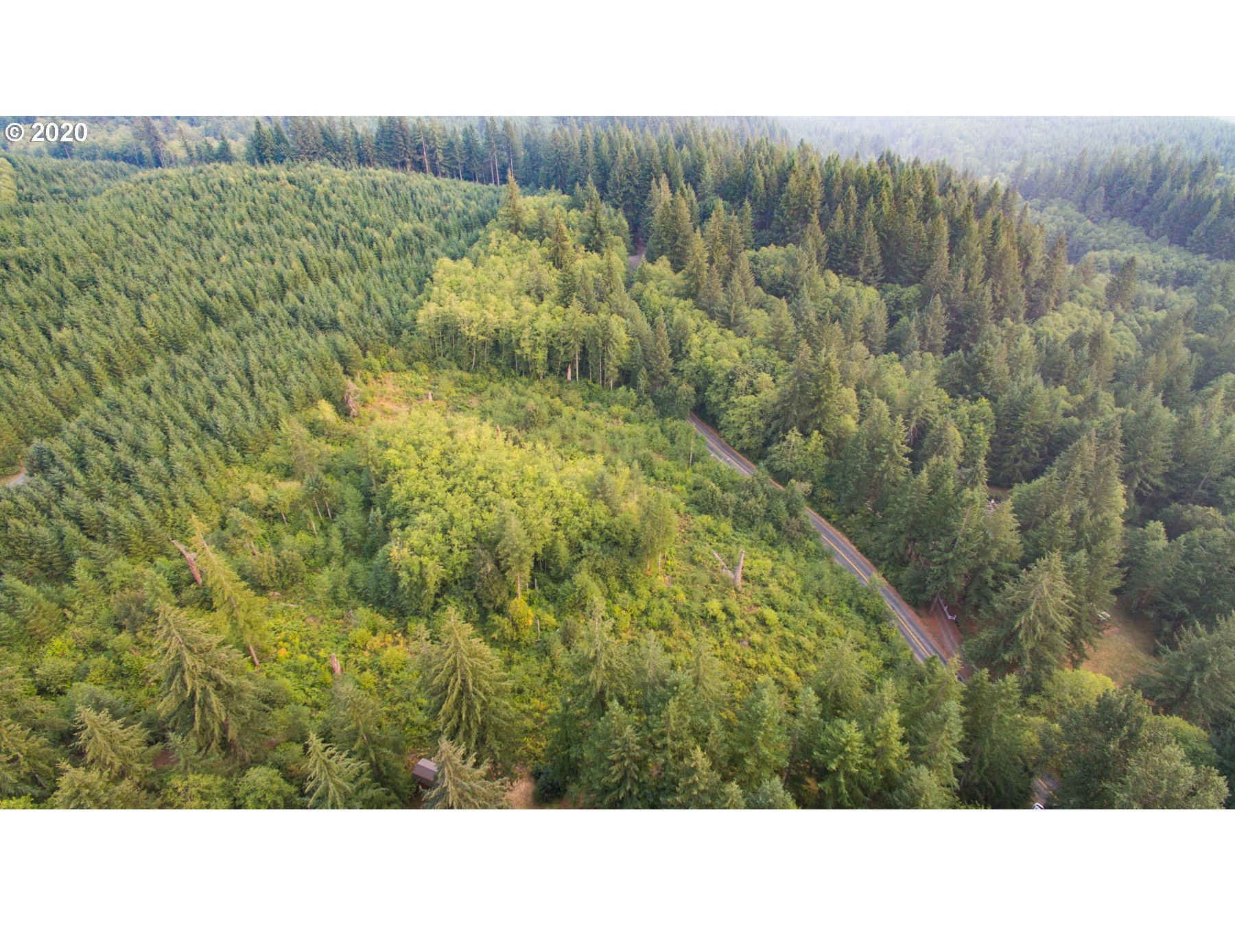 0 Northeast Falls Road Yacolt, WA 98675 - Photo 4 of 12
