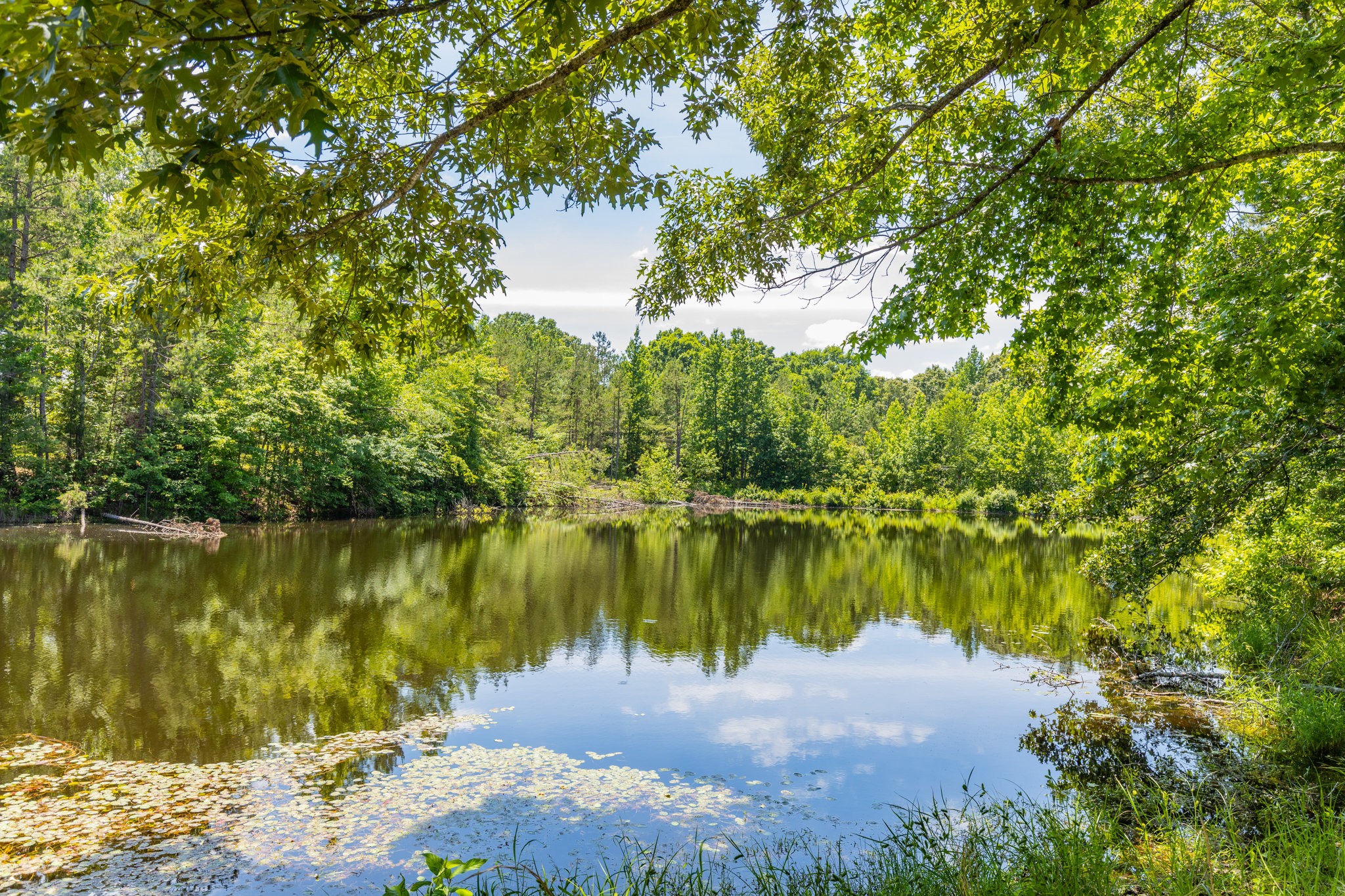 424 Charles McClearen Road Hohenwald, TN 38462 - Photo 41 of 80