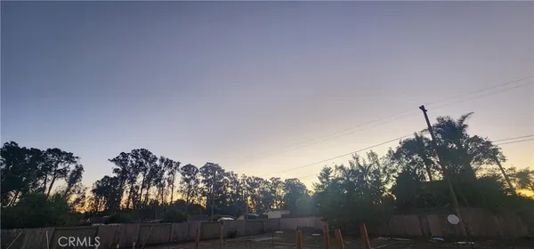 a view of a yard
