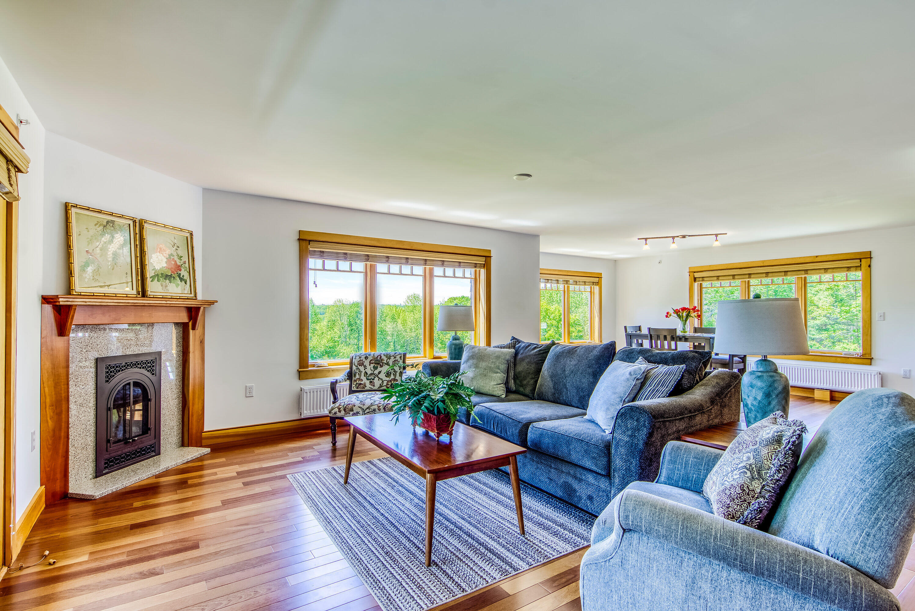 60 Ellsworth Road, Unit 9 Blue Hill, ME 04614 - Photo 6 of 24 Living Room-019-021-2996x2000