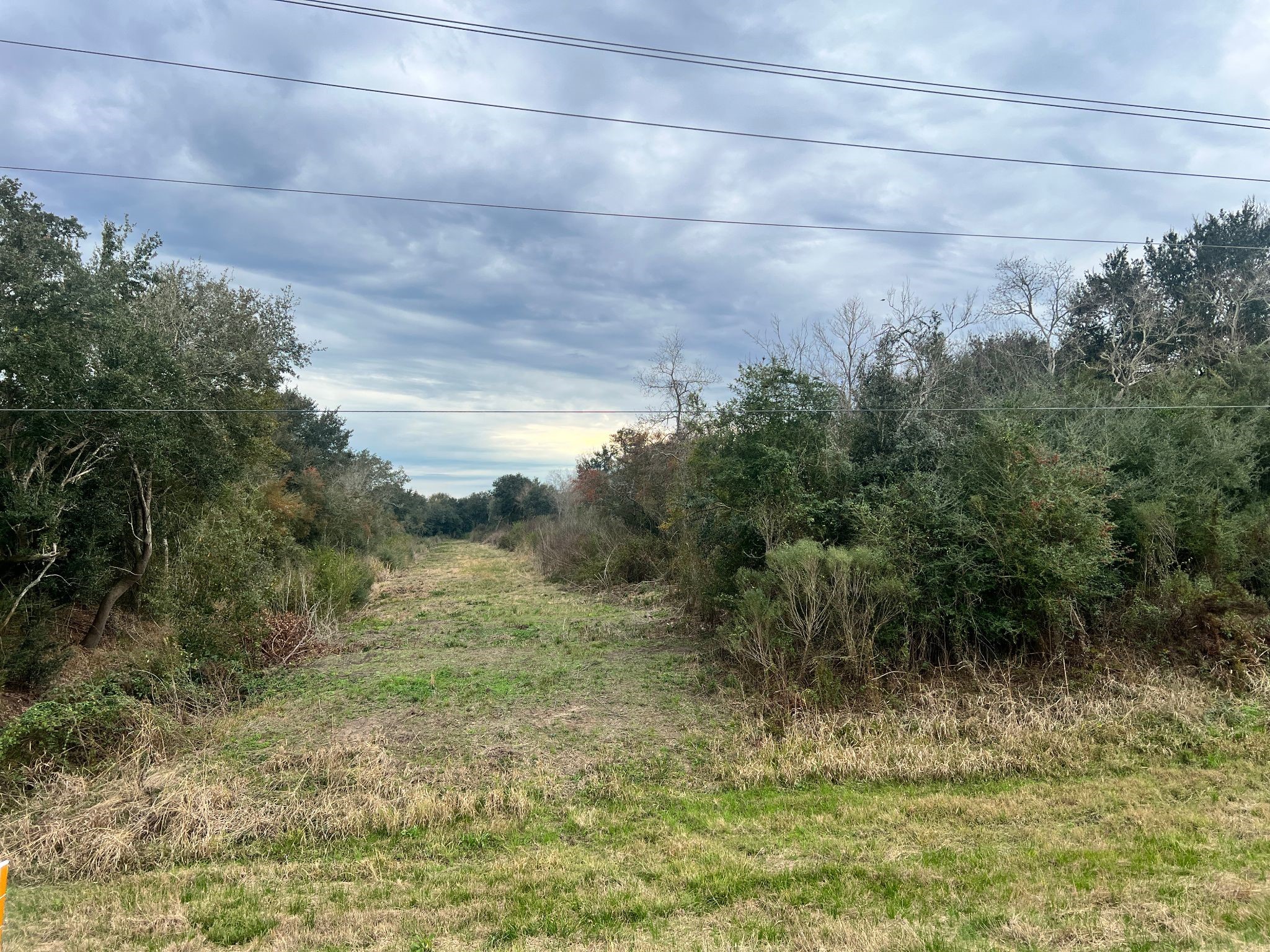 14000 Highway 65 Stowell, TX 77665 - Photo 2 of 6 a view of a yard