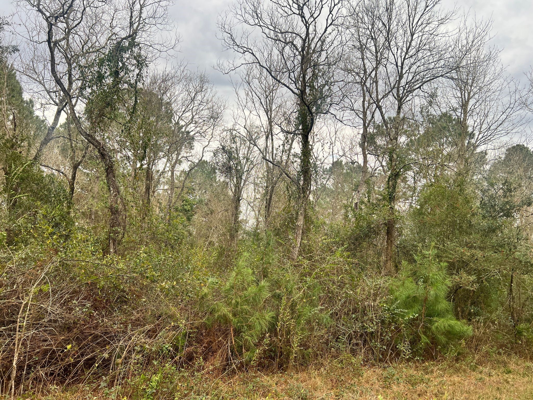 14000 Highway 65 Stowell, TX 77665 - Photo 4 of 6