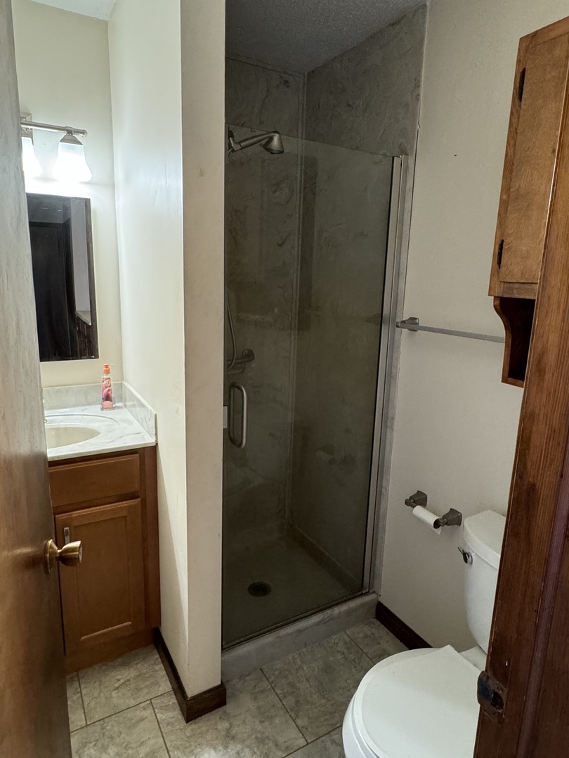 3222 250 East Road Herscher, IL 60941 - Photo 22 of 31 a bathroom with a shower and a toilet