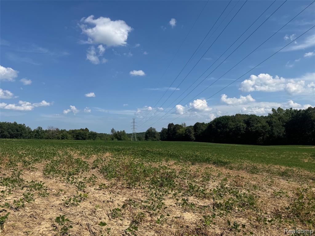 Vl South Mill Road Dryden, MI 48428 - Photo 2 of 13