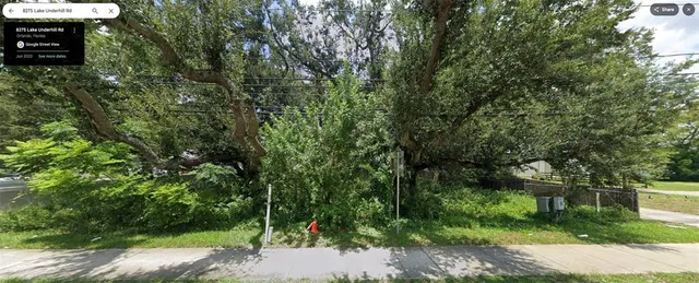 a view of a garden with plants
