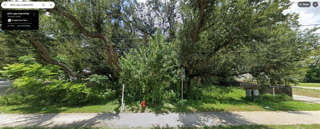 a view of a garden with plants