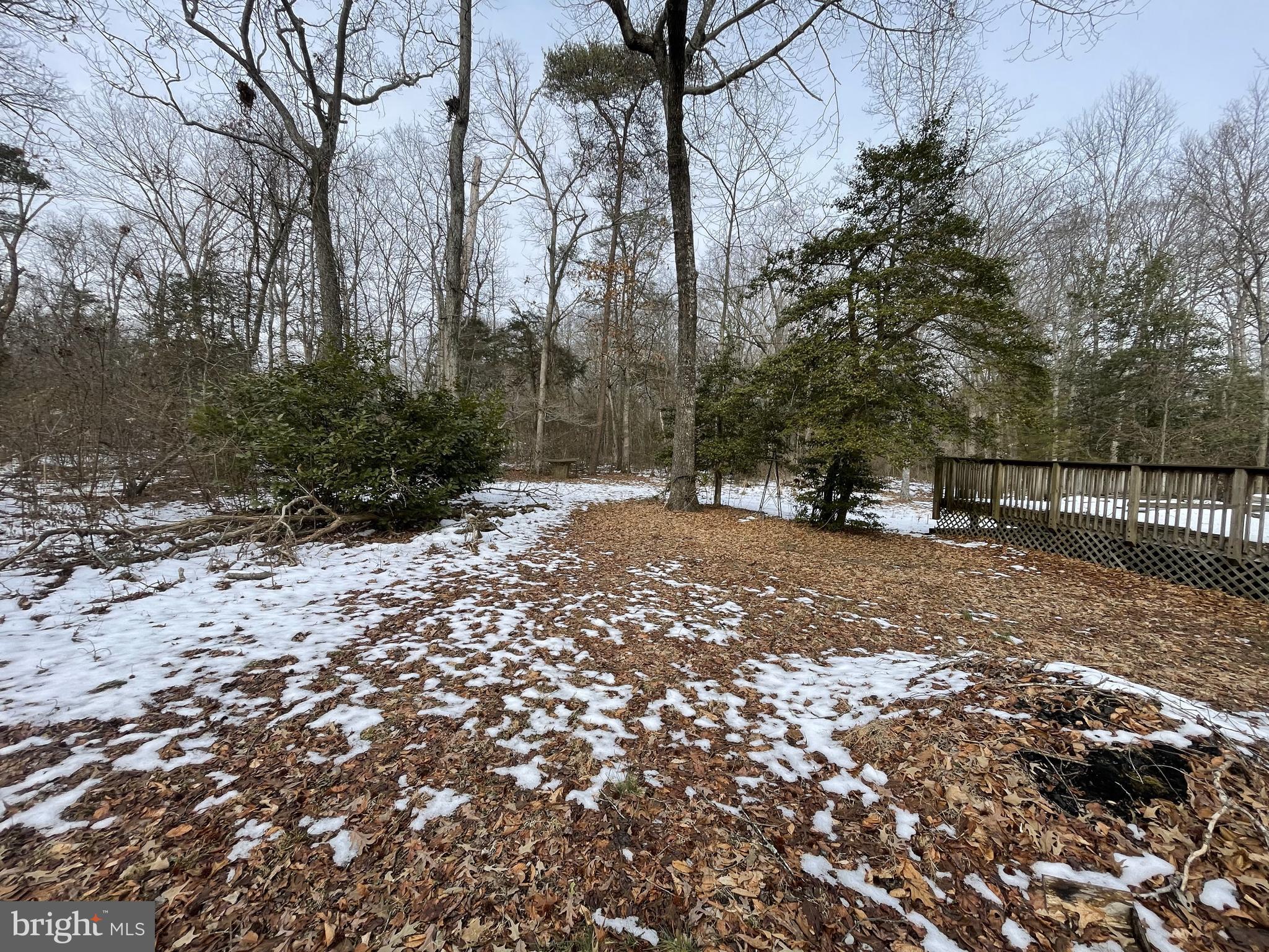 14706 Cherry Lane Ridgely, MD 21660 - Photo 12 of 17 a view of road with trees