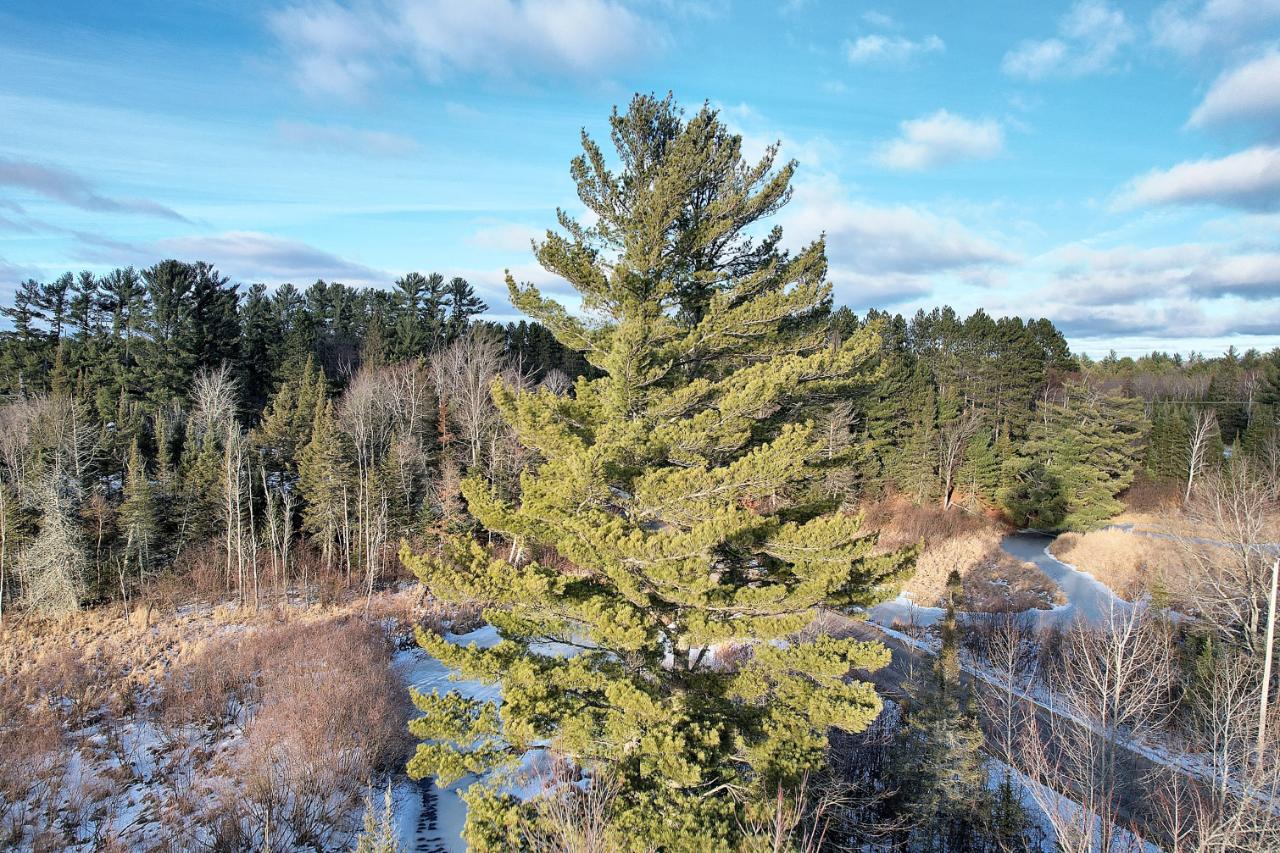 Lot Sundstein Sundstein Road Eagle River, WI 54521 - Photo 9 of 12 Gallery Image 9
