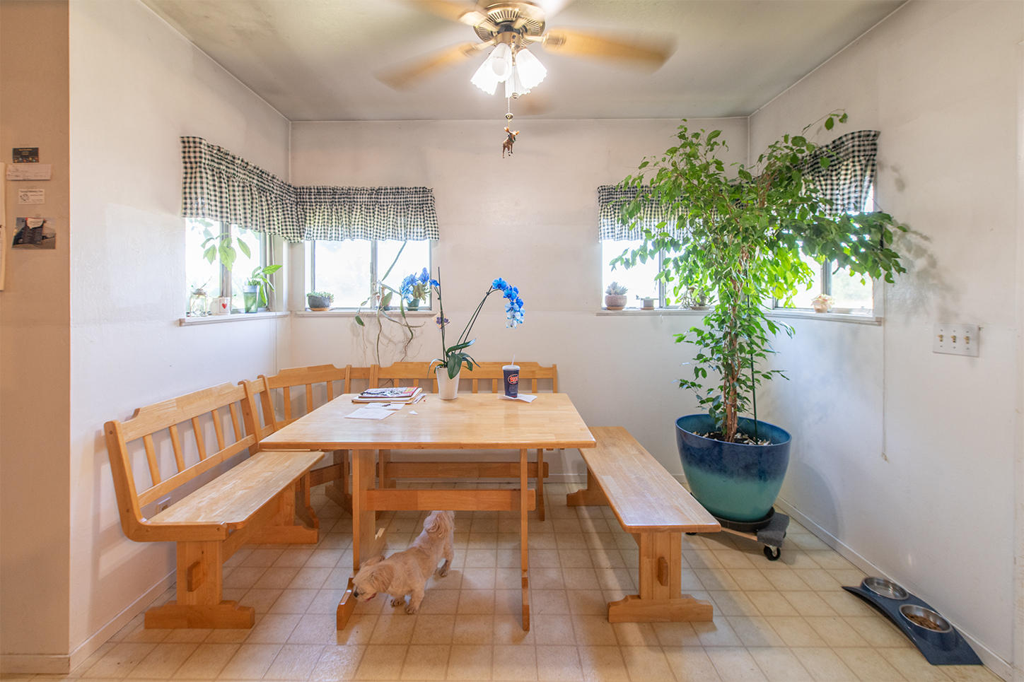 7354 Pacheco School Road Redding, CA 96002 - Photo 10 of 27 Dining