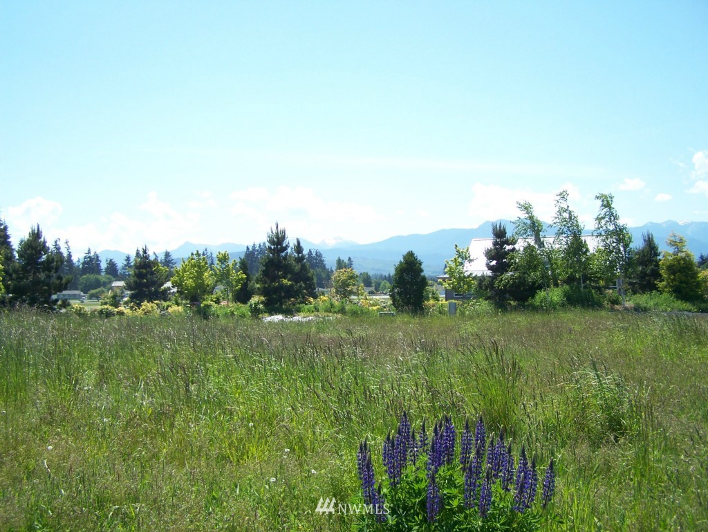 131 Osborn Road Port Angeles, WA 98362 - Photo 1 of 21