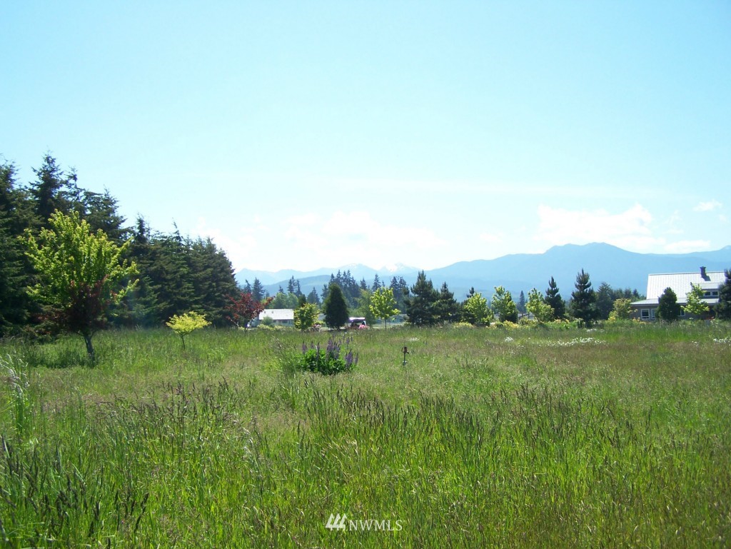 131 Osborn Road Port Angeles, WA 98362 - Photo 15 of 21