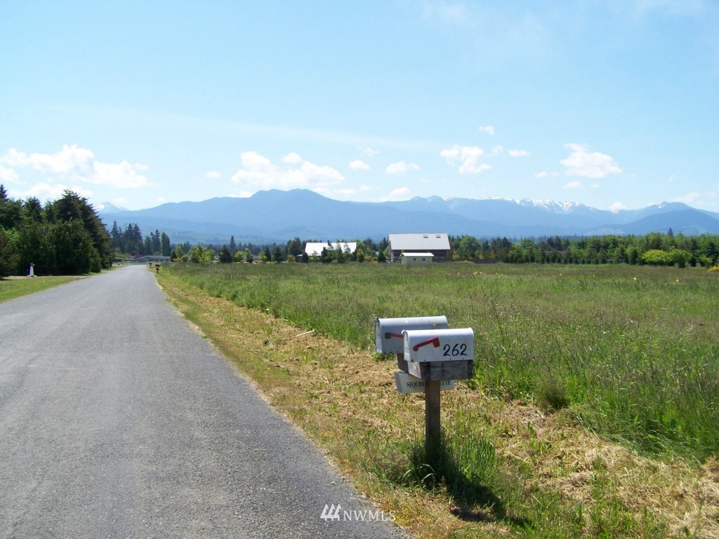 131 Osborn Road Port Angeles, WA 98362 - Photo 4 of 21