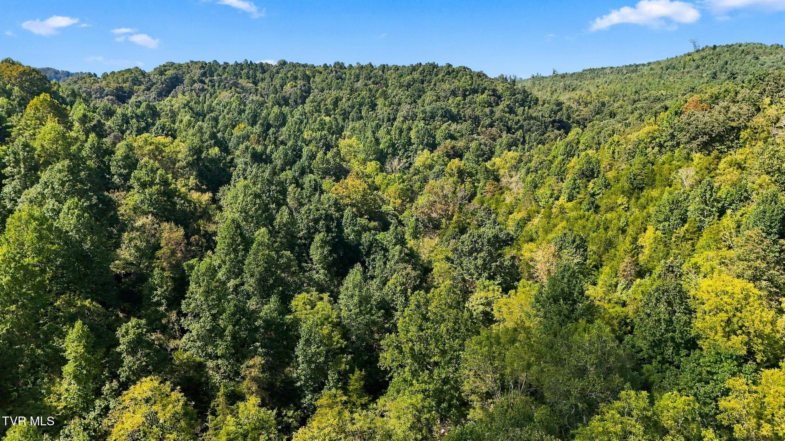 2918 Copper Creek Road Duffield, VA 24244 - Photo 15 of 31 dji_20260915152434_0807_d