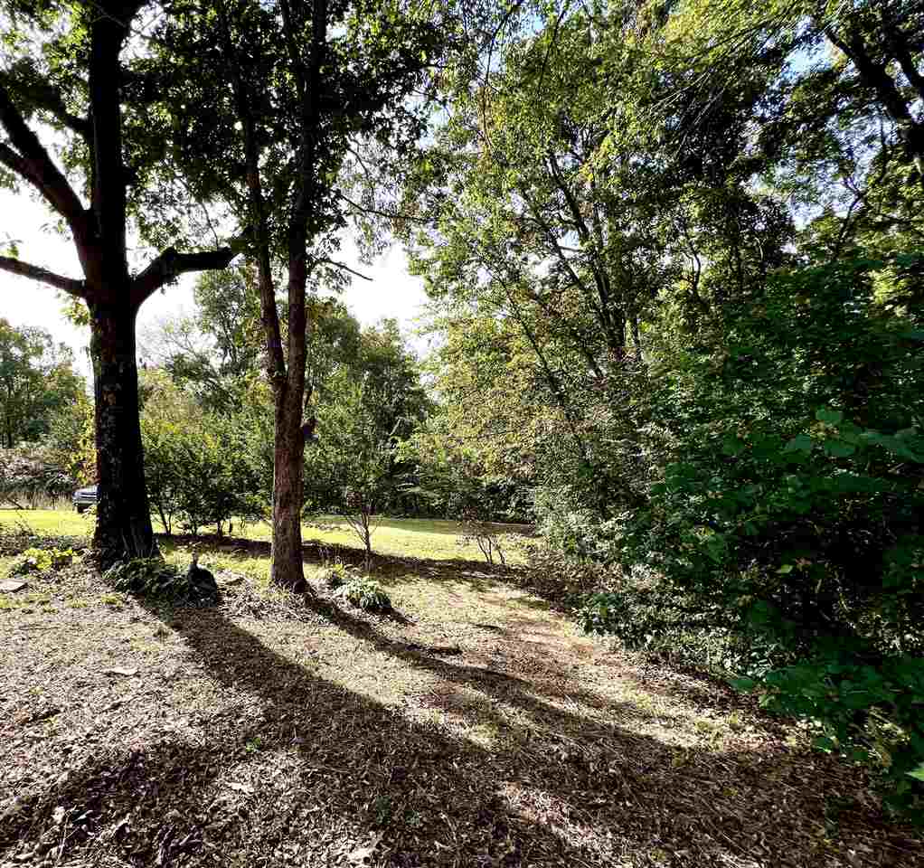 240 Smoky Road Savannah, TN 38372 - Photo 21 of 22 Gallery Image 21