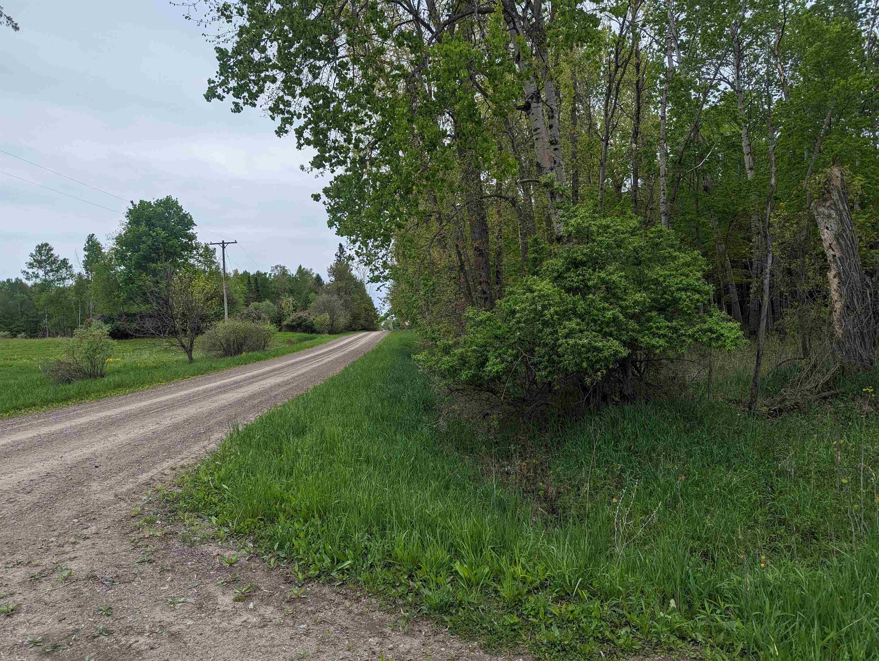 N/a Lentner Road Turner, MI 48765 - Photo 10 of 10 1922242-3b9d20fa-187d-4c84-a4a2-5dec8768ad6c.JPG