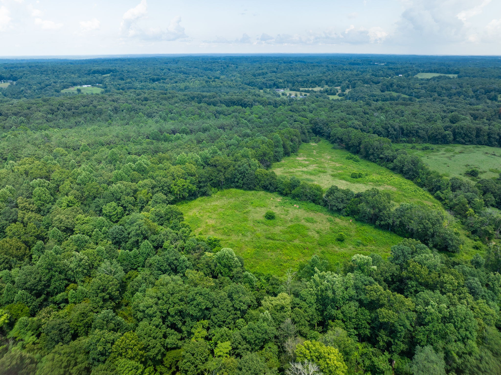 0 Barren Fork Bridge Road Bon Aqua, TN 37025 - Photo 2 of 28