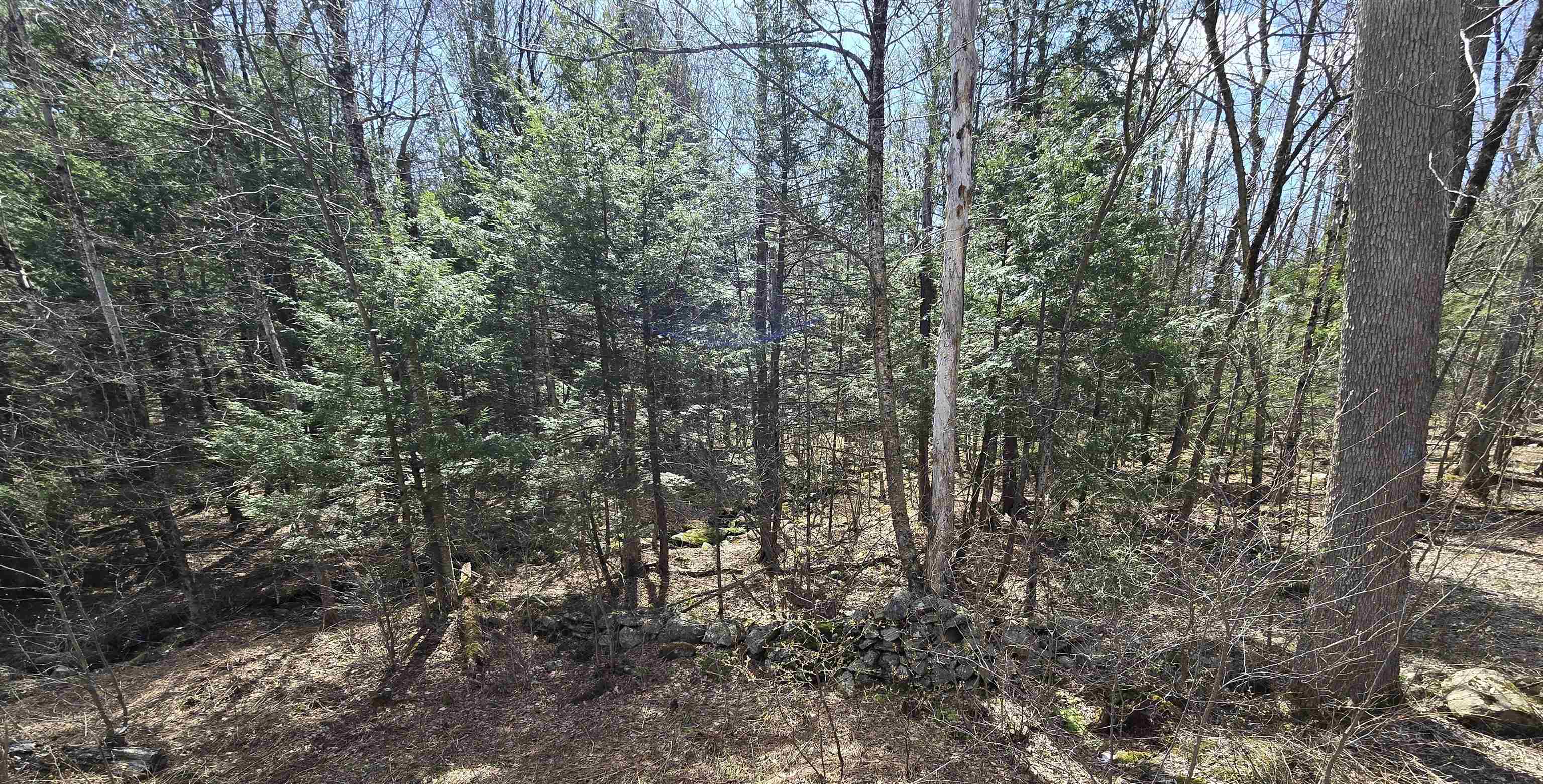 0 Jacobs Ladder Road Becket, MA 01223 - Photo 1 of 8