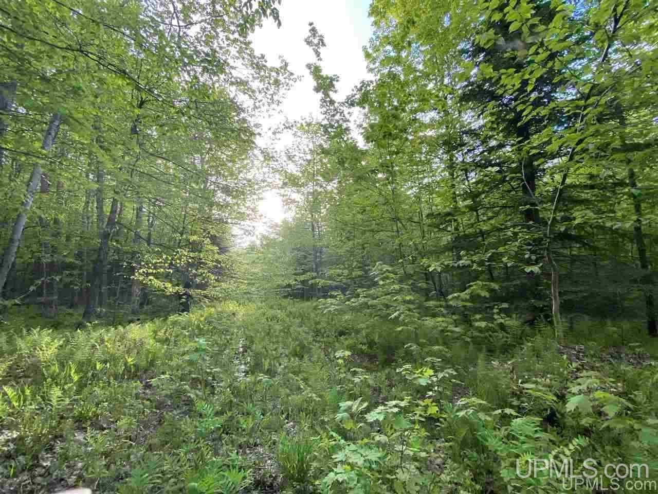 Tbd Dalton Road Skandia, MI 49885 - Photo 1 of 14