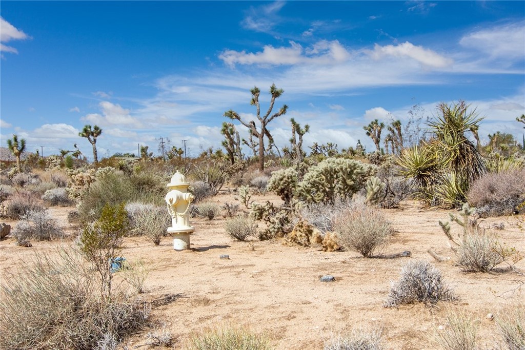 6879 Sunnyhill Road Joshua Tree, CA 92252 - Photo 1 of 1