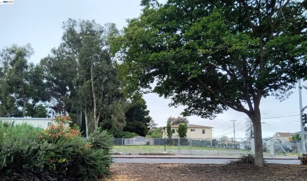 a view of a yard in front of a house with large trees