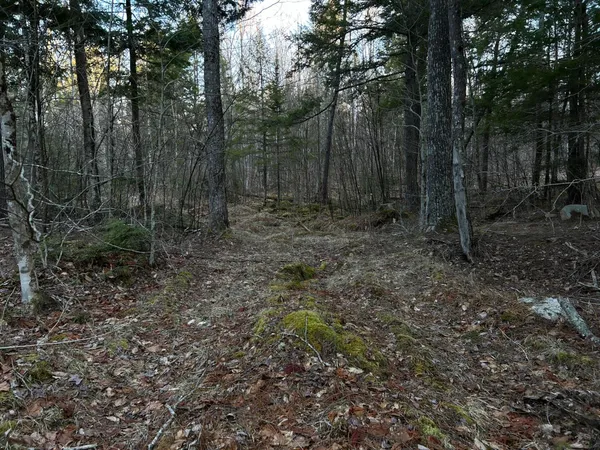 $190,000 | M7-l22 Nelson Ridge Road North, Washington, ME 04574