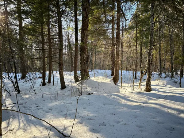 $190,000 | M7-l22 Nelson Ridge Road North, Washington, ME 04574