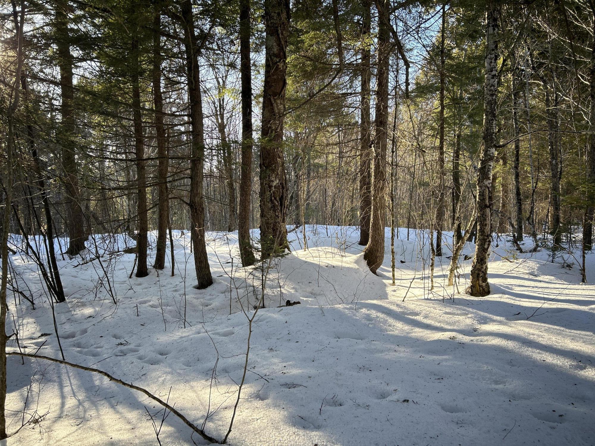 M7-l22 Nelson Ridge Road North Washington, ME 04574 - Photo 11 of 43 Copy of IMG_6818