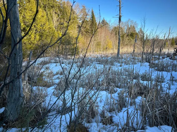 $190,000 | M7-l22 Nelson Ridge Road North, Washington, ME 04574