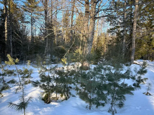 $190,000 | M7-l22 Nelson Ridge Road North, Washington, ME 04574