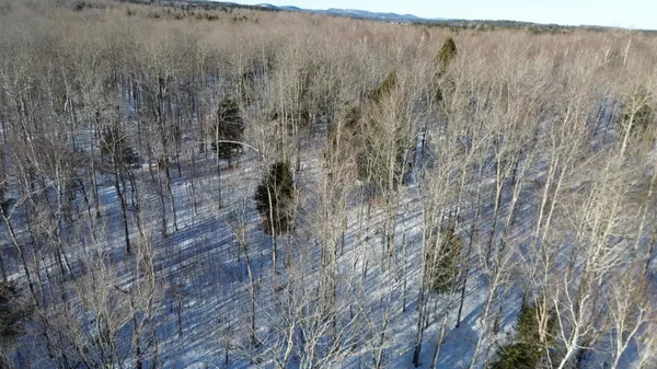 $190,000 | M7-l22 Nelson Ridge Road North, Washington, ME 04574