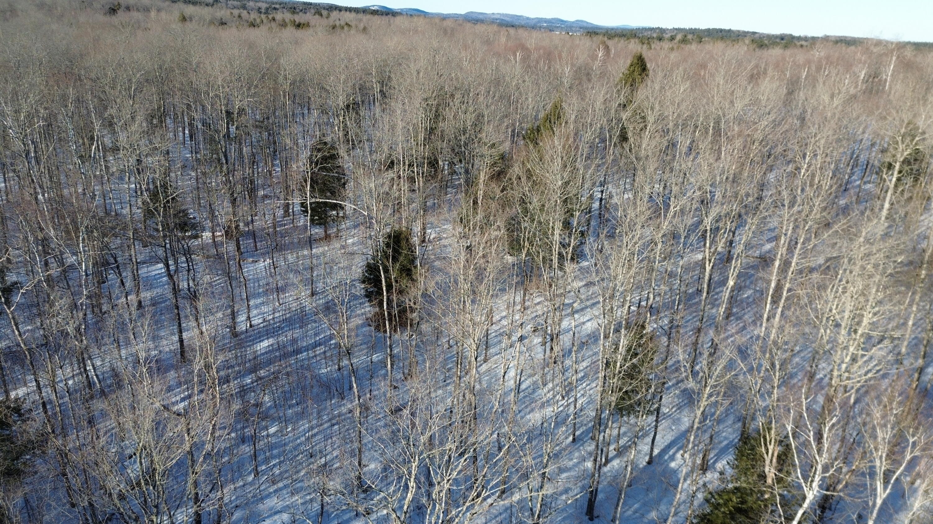 M7-l22 Nelson Ridge Road North Washington, ME 04574 - Photo 21 of 43 Copy of DJI_0552