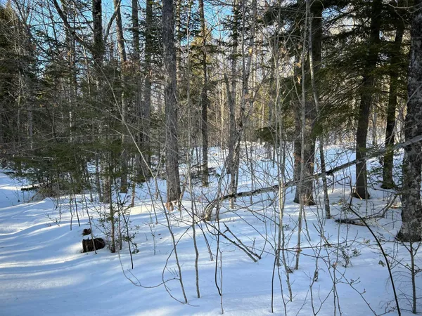 $190,000 | M7-l22 Nelson Ridge Road North, Washington, ME 04574
