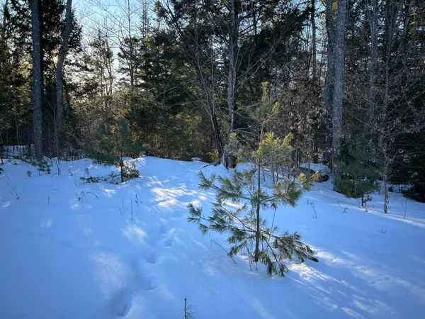 $190,000 | M7-l22 Nelson Ridge Road North, Washington, ME 04574