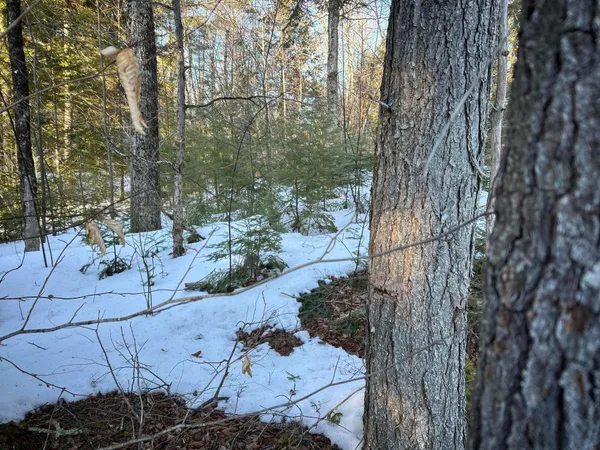 $190,000 | M7-l22 Nelson Ridge Road North, Washington, ME 04574