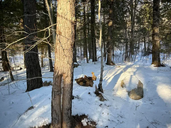 $190,000 | M7-l22 Nelson Ridge Road North, Washington, ME 04574