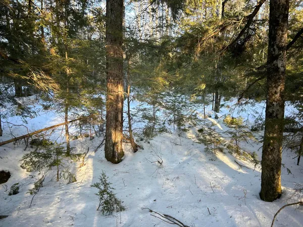 $190,000 | M7-l22 Nelson Ridge Road North, Washington, ME 04574